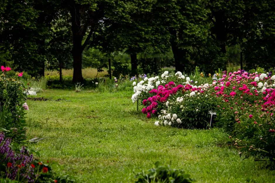 Greens & Outdoors at SATTVA VASANTA, Kannamangala Village, Bangalore