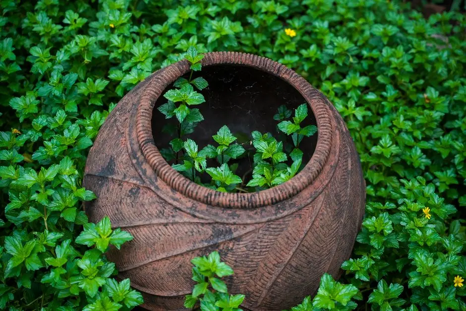 Greens & Outdoors at SATTVA CITY 2, Doddajala, Bangalore