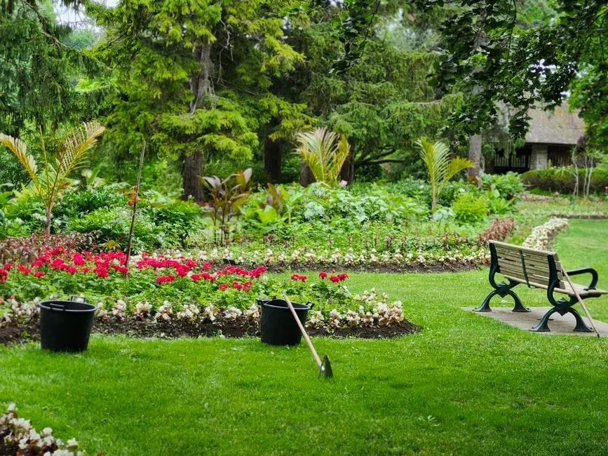 Garden