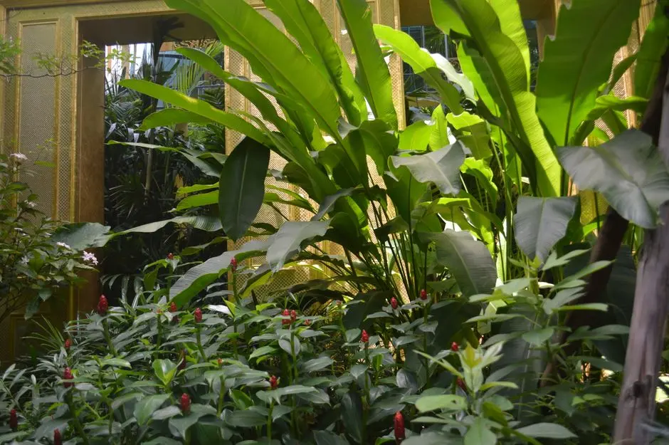 Greens & Outdoors at SALARPURIA SATTVA AEROPOLIS PHASE 2, Devanahalli, Bangalore