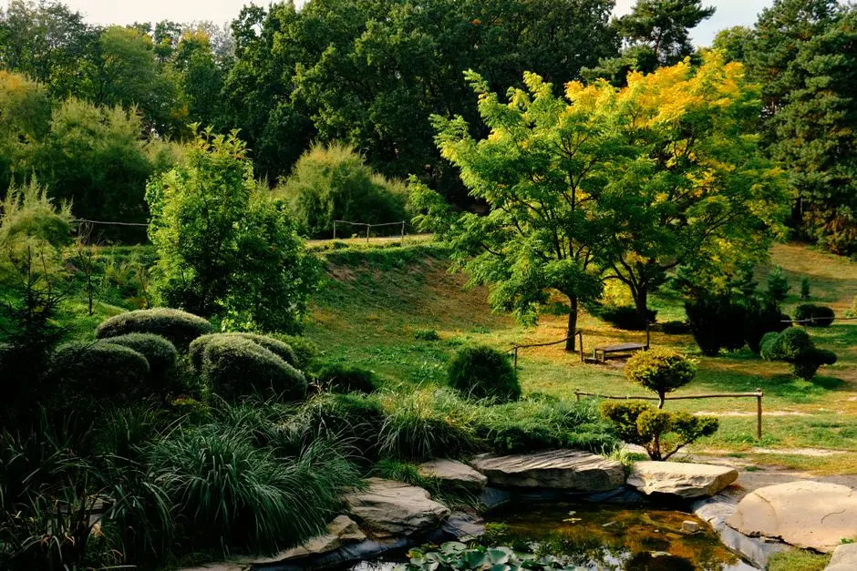Greens & Outdoors at SALARPURIA SATTVA DIVINITY, Pantharapalya, Bangalore