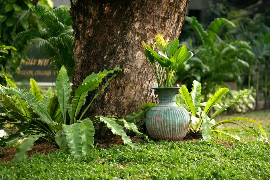 Greens & Outdoors at SALARPURIA SATTVA IMAGE TOWER, HITEC City, Hyderabad