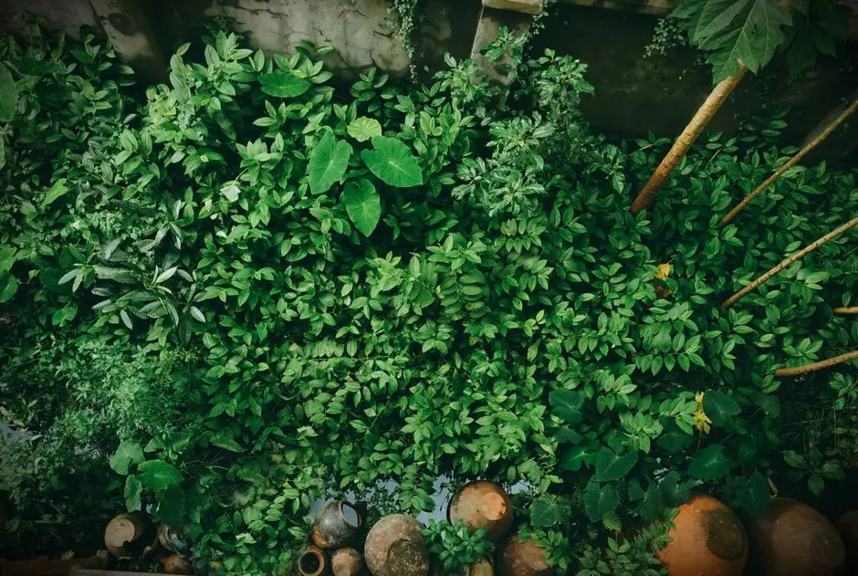 Greens & Outdoors at SALARPURIA SATTVA SATTVA KNOWLEDGE CITY, Perungudi, Chennai