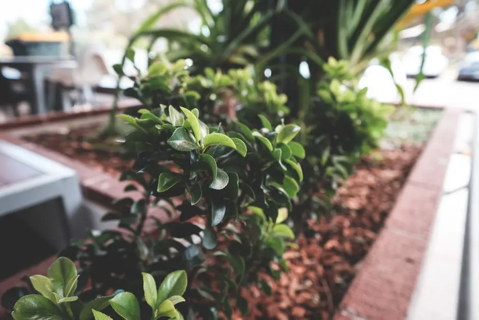 Greens & Outdoors at SALARPURIA SATTVA CELESTA, KR Puram, Bangalore