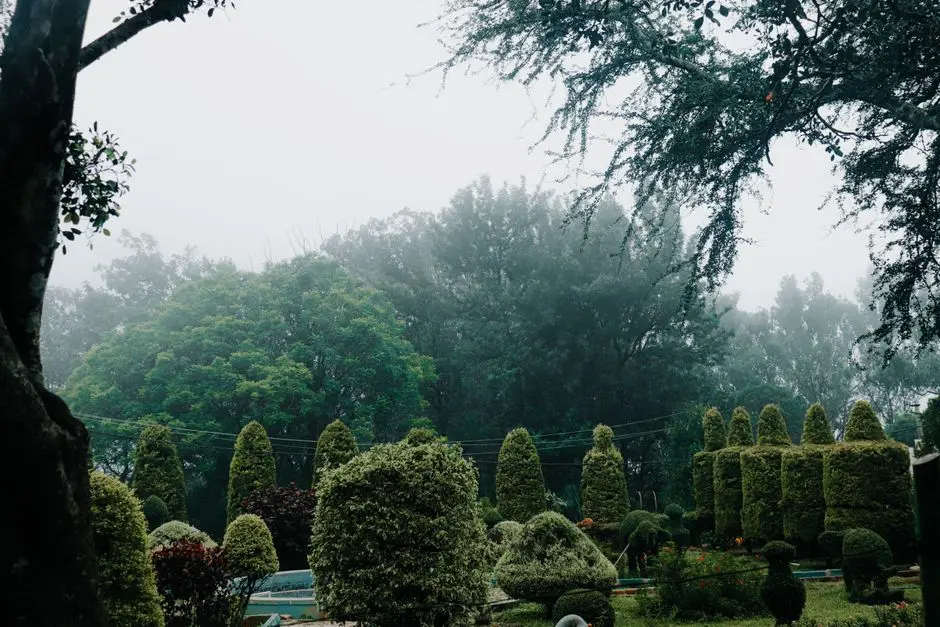 Greens & Outdoors at SATTVA VASANTA COVE, Devanahalli, Bangalore