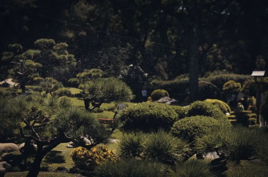 Garden